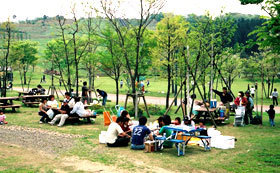 国営越後丘陵公園,バーベキュー,新潟,手間いらず