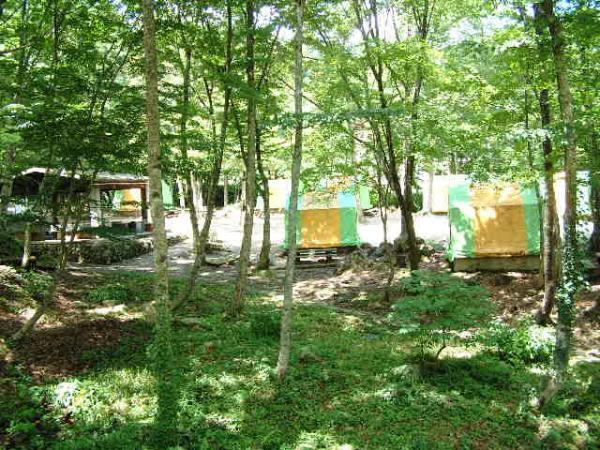 ひろしま県民の森キャンプ場,広島県,キャンプ場,自然
