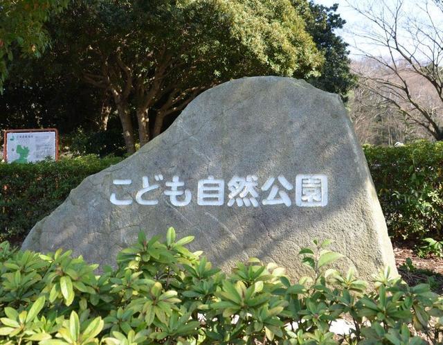 こども自然公園,ホタル, スポット,観賞