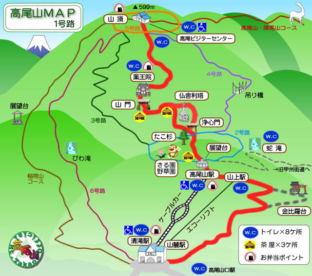 コース,高尾山,子ども,ハイキングコース