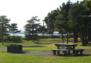 城南島海浜公園,子ども,キャンプ,自然体験