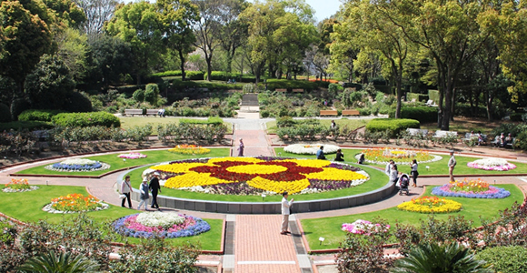 福岡市植物園,福岡県,子どもの写真,植物園