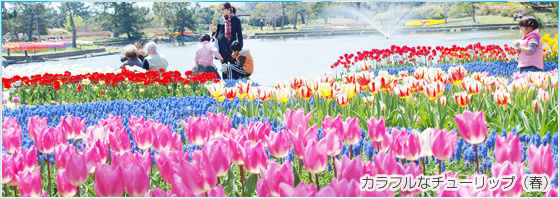 バラ園,福岡,遊べる,公園
