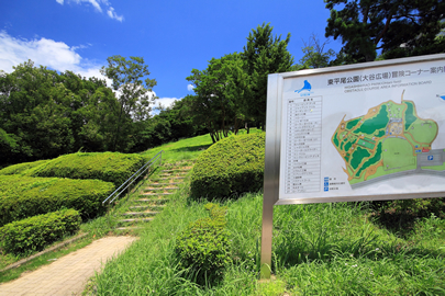 東平尾公園(冒険コーナー),福岡,遊べる,公園