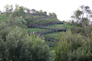 ハヌル公園,韓国,公園,子連れ