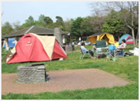江東区立若洲公園のキャンプ風景,若洲公園,キャンプ,サイクリング