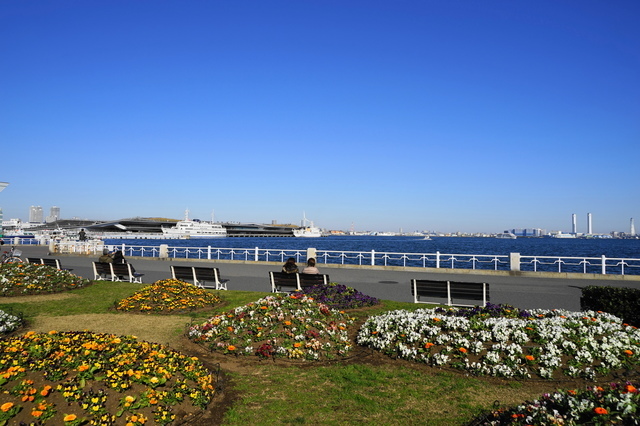 横浜にある山下公園,横浜,ピクニック,公園