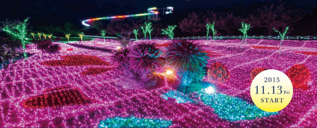 グランイルミ,伊豆ぐらんぱる公園,子ども,アトラクション