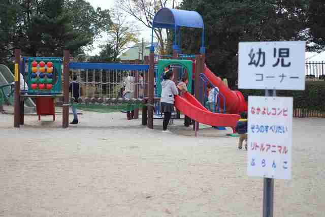 幼児コーナー,海南こどもの国,愛知,アスレチック