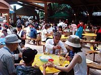 そうめん流し,鹿児島,子連れ観光,グルメ