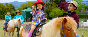 ヒルトン小田原キッズクラブ,ヒルトン,小田原,子連れ