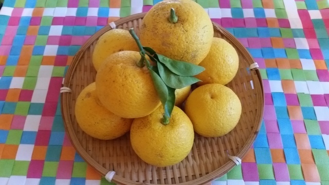 柚子のかごもり,柚子ジャム,作り方,簡単