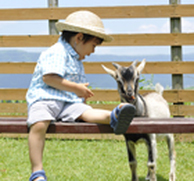 カドリードミニオン ふれあい動物園,熊本,おでかけ,スポット