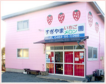 すぎやまいちご園,神奈川,子連れ,いちご狩り