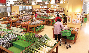 野菜直売所,道の駅もてぎ,SL,栃木