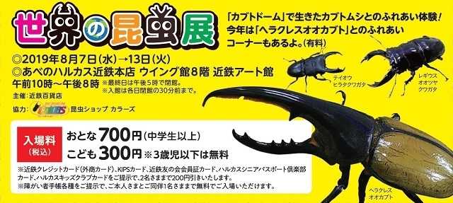 世界の昆虫展,あべのハルカス,イベント,夏