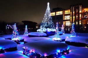 いくとぴあ食花,新潟,イルミネーション,雪