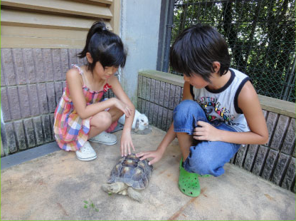 五月山動物園 ふれあい動物園,大阪,無料,子ども