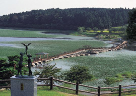 平筒沼ふれあい公園,紅葉,スポット,宮城