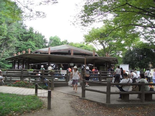 こども自然公園 コンタクト(ふれあい)コーナー 万騎が原ちびっこ動物園,横浜,公園,動物