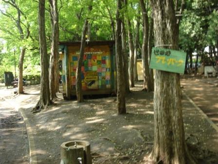 プレーパーク,世田谷,公園,SL