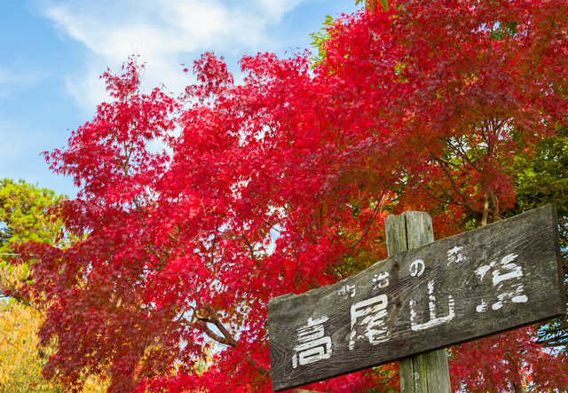 高尾山,東京都,登山,子ども