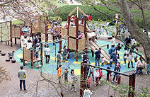 四季の森公園 遊具広場 ,神奈川,四季の森公園,遊ぼう