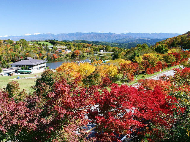 茶臼山の紅葉,愛知,ハイキング,山