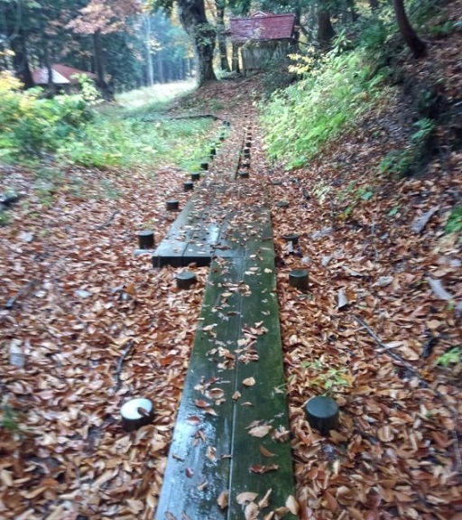 烏帽子岳自然観察教育林観察歩道,青森県,子連れ,登山