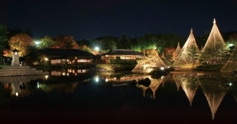 白鳥庭園,紅葉 ,ライトアップ,愛知県