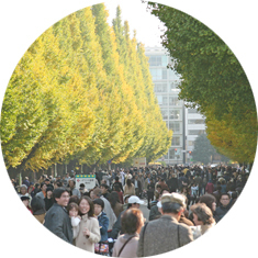 神宮外苑いちょう祭り,東京,紅葉,イベント