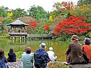 成田山紅葉祭り,千葉,紅葉,イベント