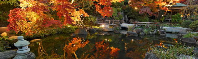 長谷寺,鎌倉,紅葉,子連れ