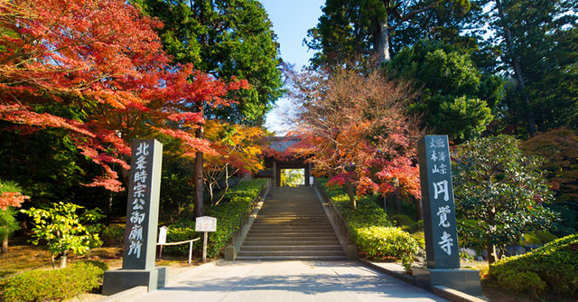 円覚寺,鎌倉,紅葉,子連れ