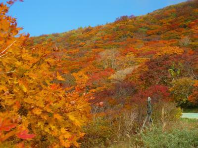 大佐渡スカイライン,新潟,紅葉,スポット