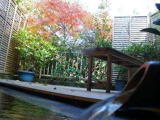 ペンショングリーンリバー,紅葉,子連れ温泉,伊豆