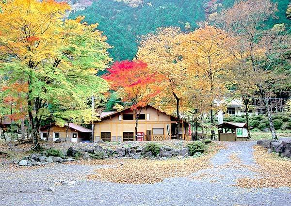 梅ケ島キャンプ場,静岡,自然,紅葉狩り