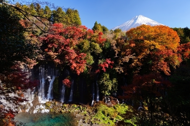 白糸の滝,静岡,自然,紅葉狩り