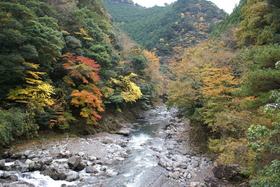 明神峡,静岡,自然,紅葉狩り