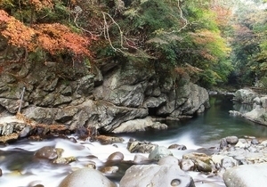 世古峡,静岡,自然,紅葉狩り