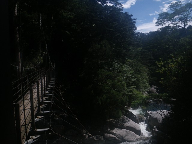 ヤクスギランド,鹿児島,登山,ハイキング