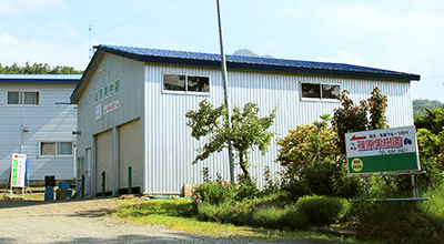 篠原果実園,秋の味覚,北海道,梨狩り