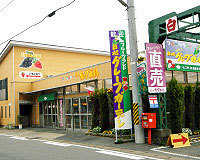 フルーツランド 白根グレープガーデン,梨狩り,新潟,おすすめ
