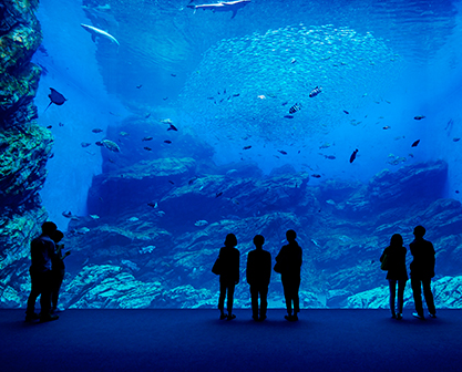 仙台うみの杜水族館,仙台,秋,子連れ
