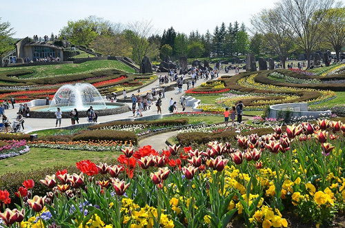国営みちのく杜の湖畔公園,仙台,秋,子連れ