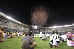 ロッテ,プロ野球,観戦,イベント