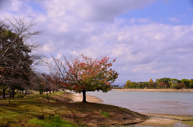 秋 紅葉 公園,福岡,紅葉,スポット