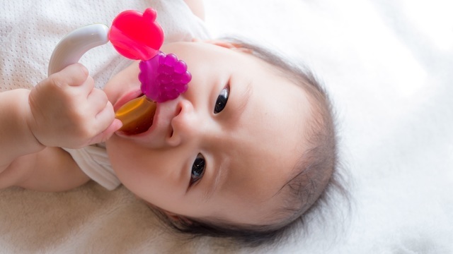 赤ちゃん噛む,生後,6ヶ月,赤ちゃん
