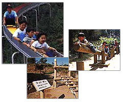 歩崎森林公園,アスレチック,茨城,