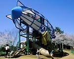 霞ヶ浦総合公園,アスレチック,茨城,
